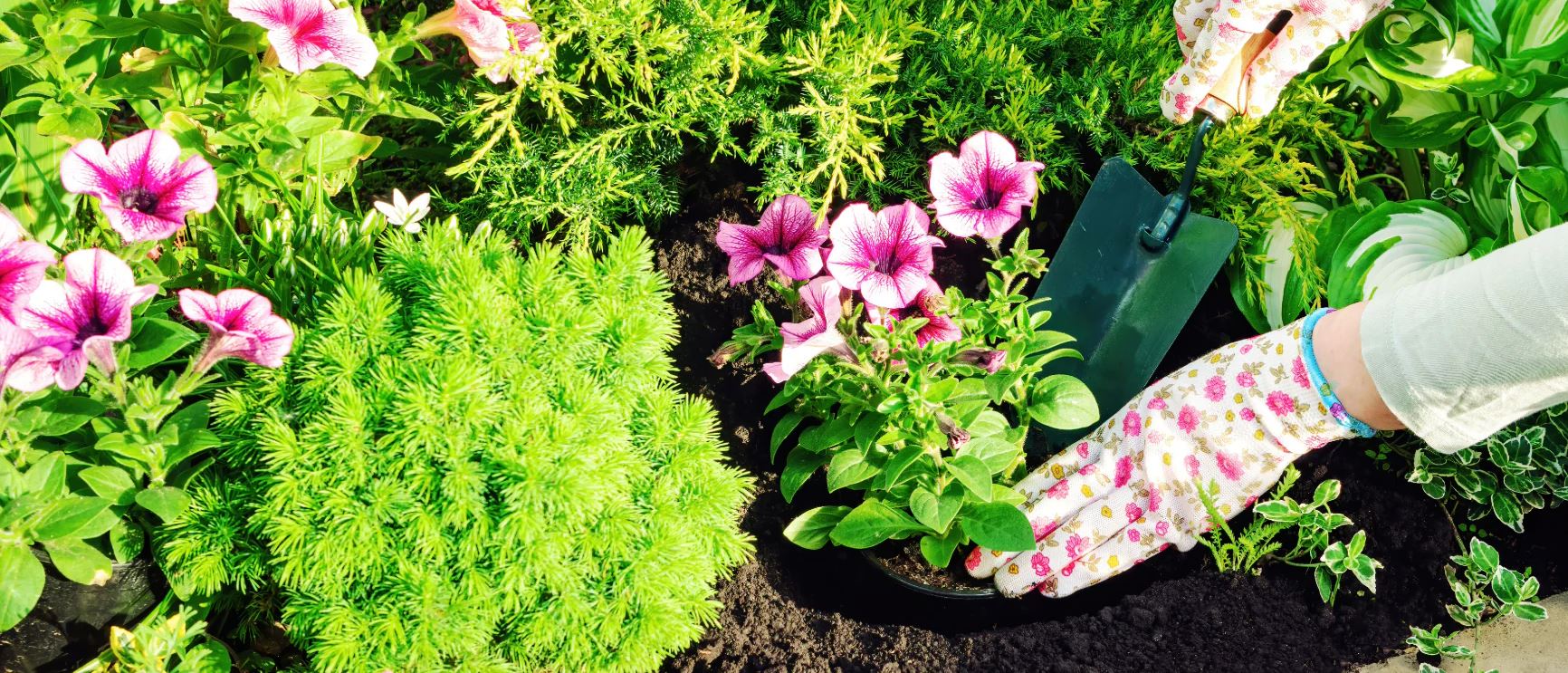 Professional Gardening Services in St. Thomas, Ontario, Canada.
