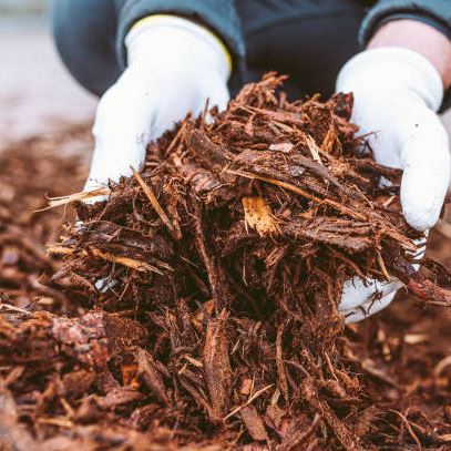 Mulching Services in St. Thomas, Ontario.