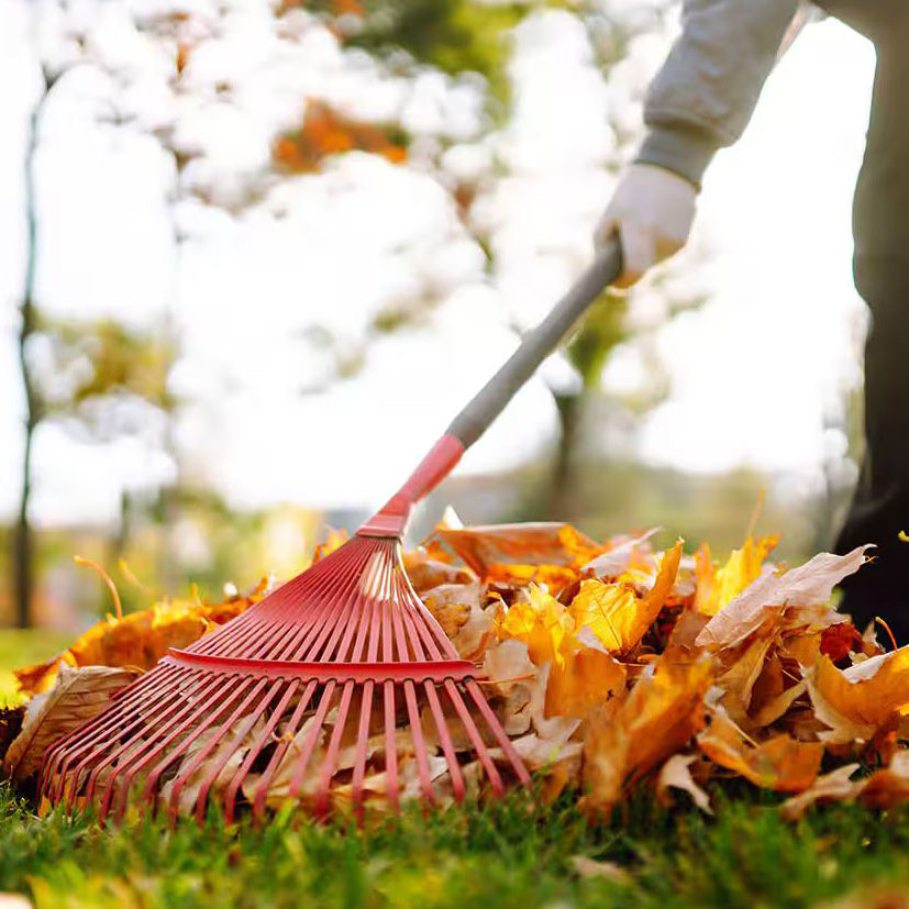 Spring and Fall Cleanup in St. Thomas, Ontario.