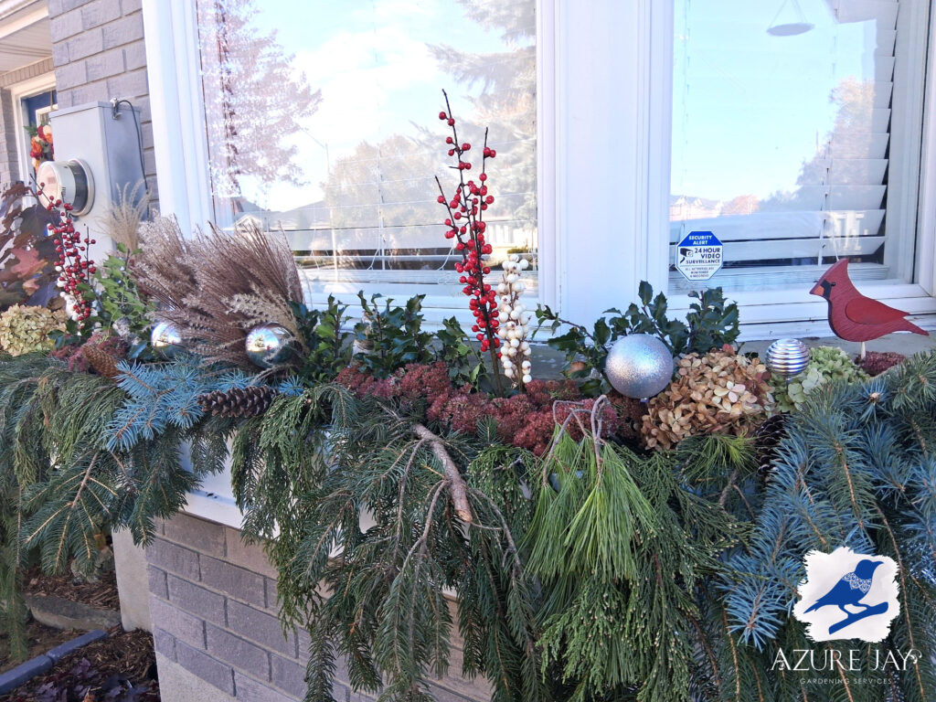 Winter planter in St. Thomas, Ontario - Azure Jay Gardening Services