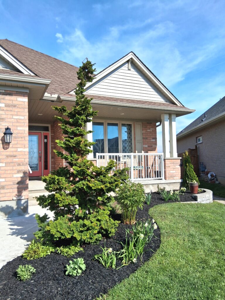 Front Yard in St. Thomas, Ontario.