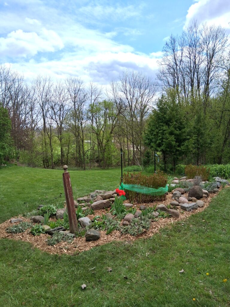 Front Yard Services in St. Thomas, Ontario.